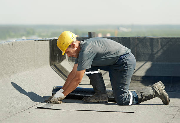 Best Insulation Maintenance and Repair in Braddock, VA