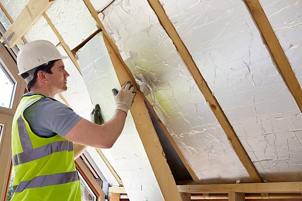 Best Insulation Installation Services in Braddock, VA