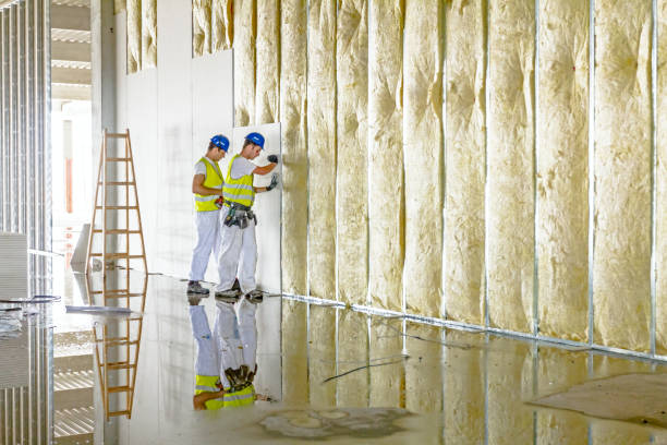 Best Residential Insulation in Braddock, VA